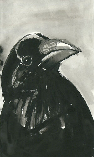 Crow #05