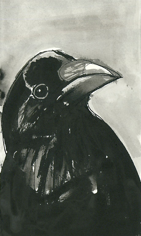 Crow #05