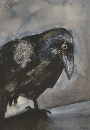 Crow #16