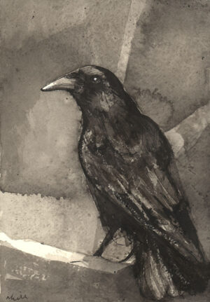 Crow #18