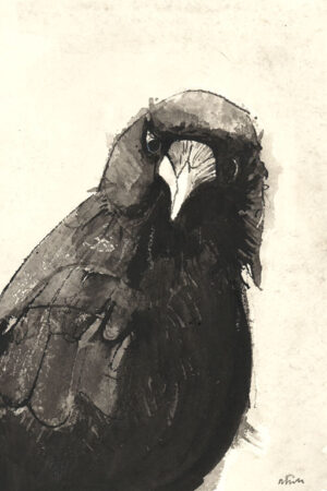 Crow #20