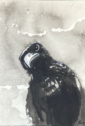 Crow #21