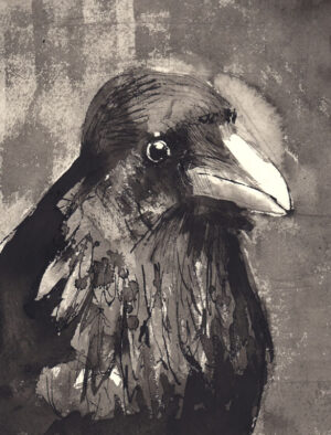 Crow #19