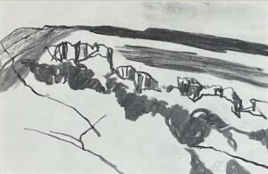 Whinsill in Scordale